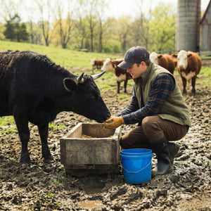 The $250 Boot Illusion: The Truth About Outdoor Gear Markup