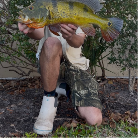 Does Coffee Attract Fish? The Angler's Guide to Scent and Success
